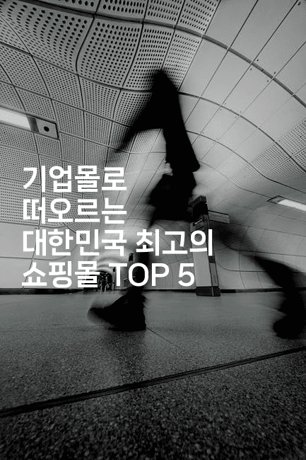 기업몰로 떠오르는 대한민국 최고의 쇼핑몰 TOP 5