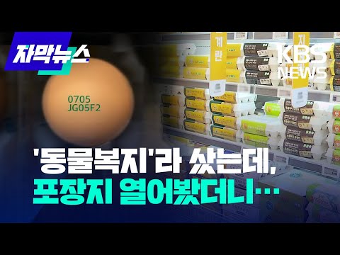 [자막뉴스] '동물복지'라 샀는데…포장지에 덮인 달걀 "열어보기 전엔 몰라요"  / KBS 2022.07.11