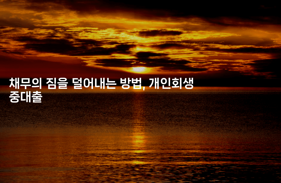 채무의 짐을 덜어내는 방법, 개인회생 중대출-복지빵