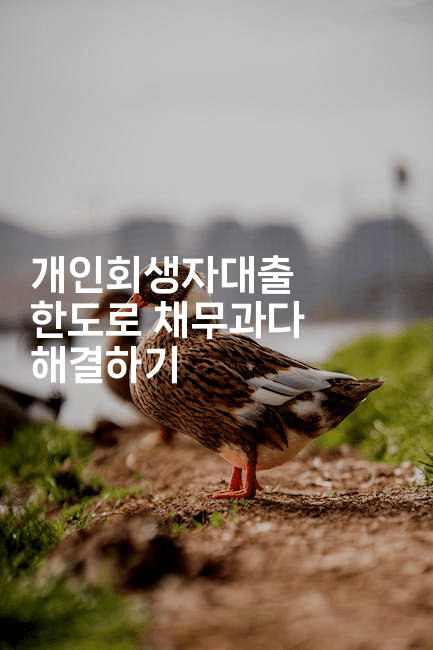 개인회생자대출 한도로 채무과다 해결하기