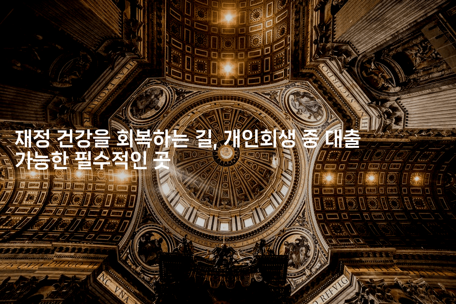 재정 건강을 회복하는 길, 개인회생 중 대출 가능한 필수적인 곳-복지빵