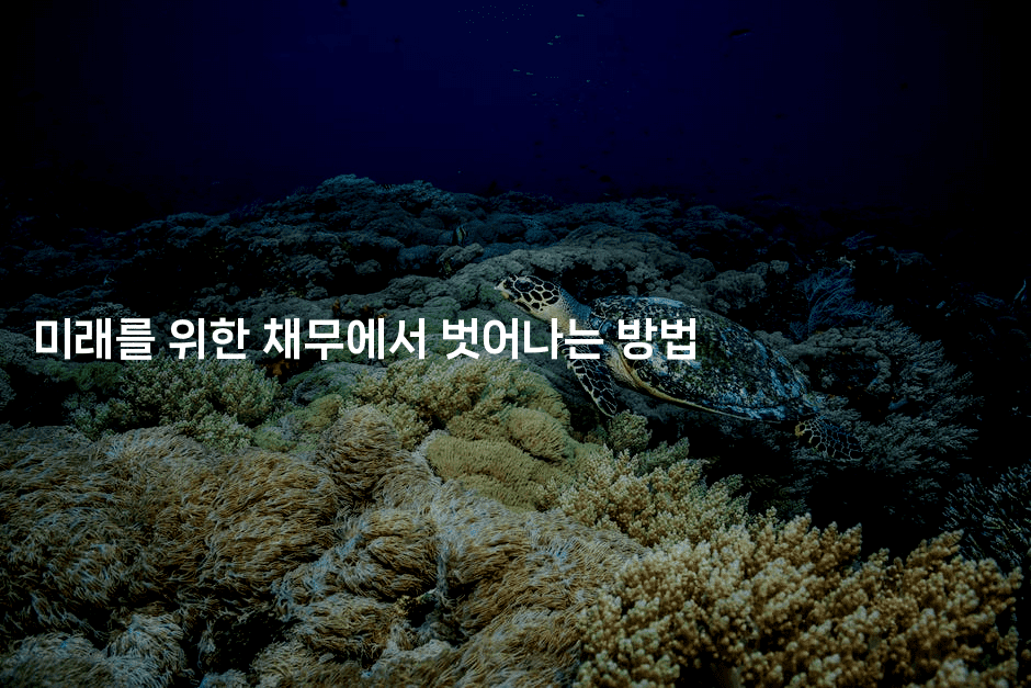 미래를 위한 채무에서 벗어나는 방법-복지빵