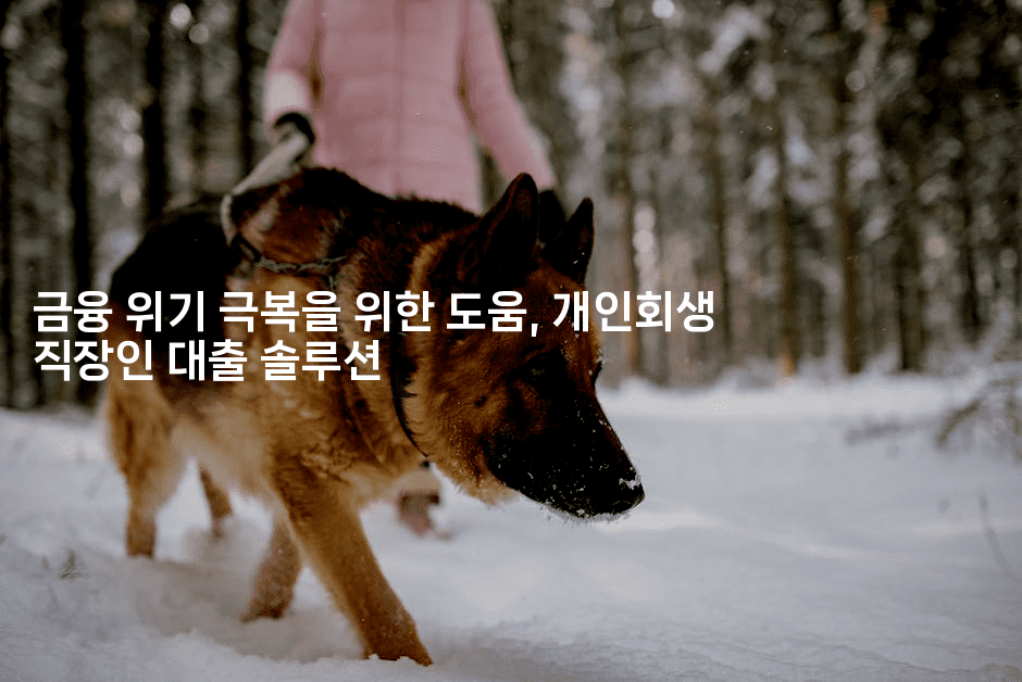 금융 위기 극복을 위한 도움, 개인회생 직장인 대출 솔루션-복지빵